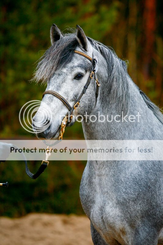 © Kasvattaja img