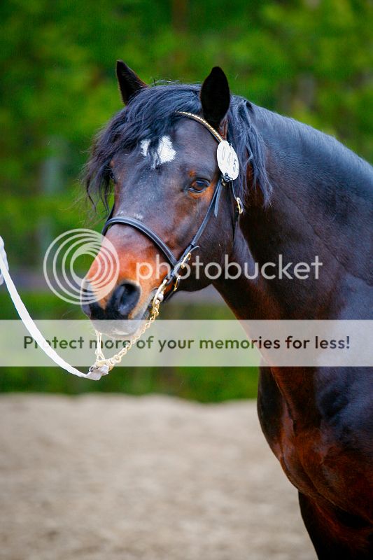 © VRL-01811 img