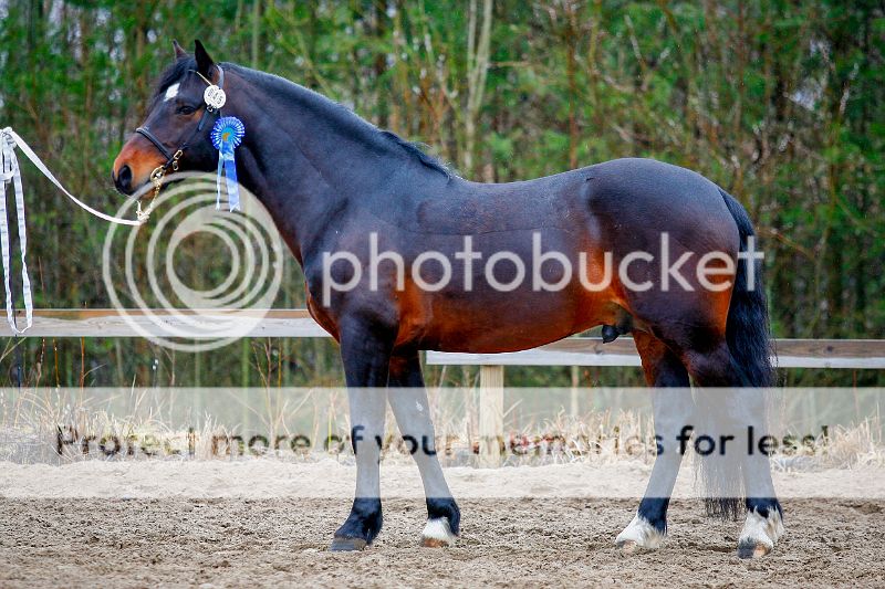 © VRL-01811 img
