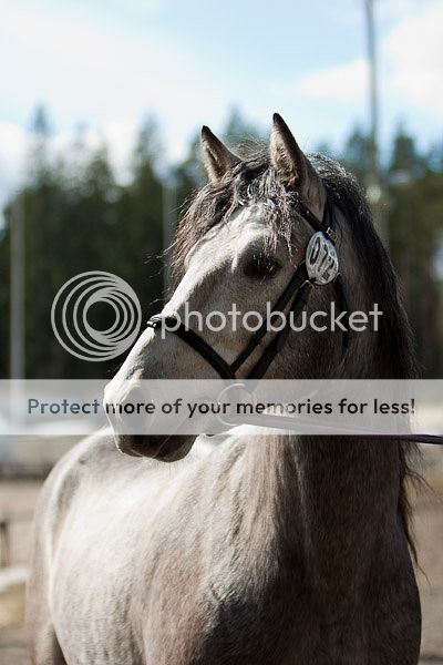 © Satu Pitkänen img