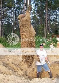 [Linked Image from i353.photobucket.com]