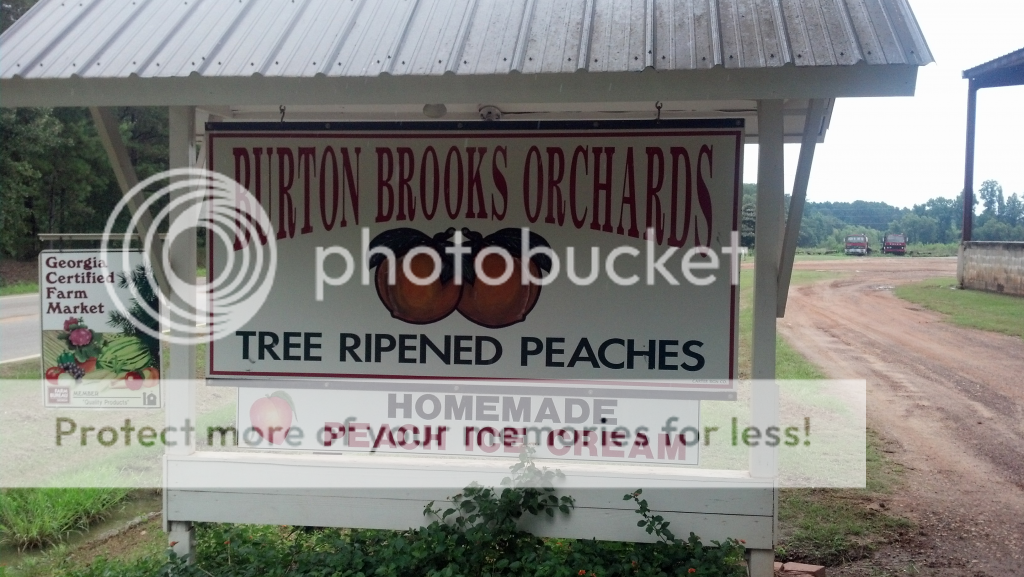 South summer peach ice cream. Discussion Board