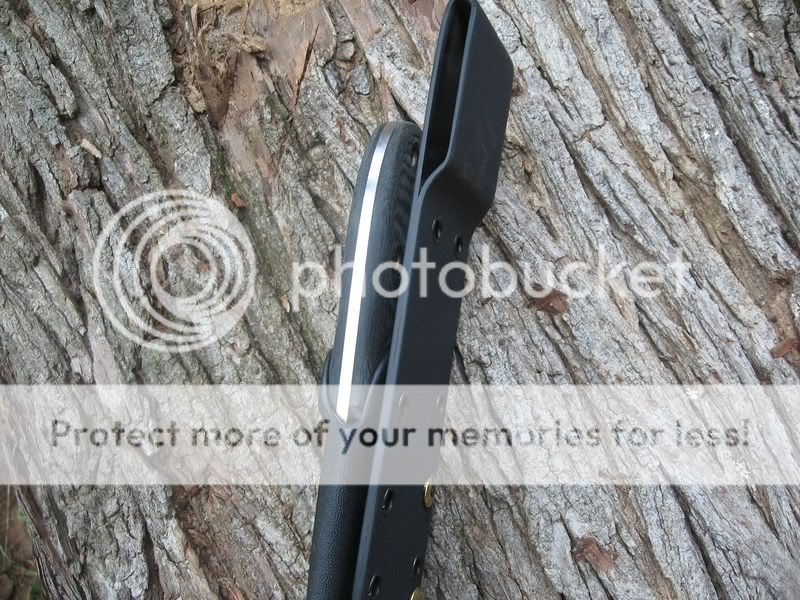 [Linked Image from i353.photobucket.com]