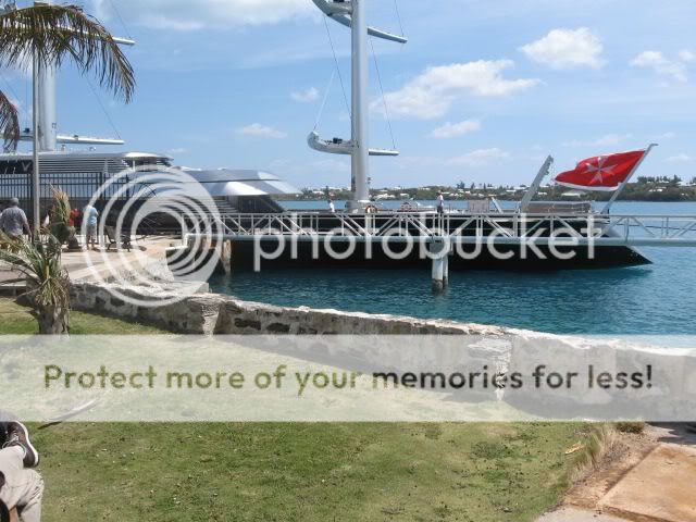 [Linked Image from i353.photobucket.com]