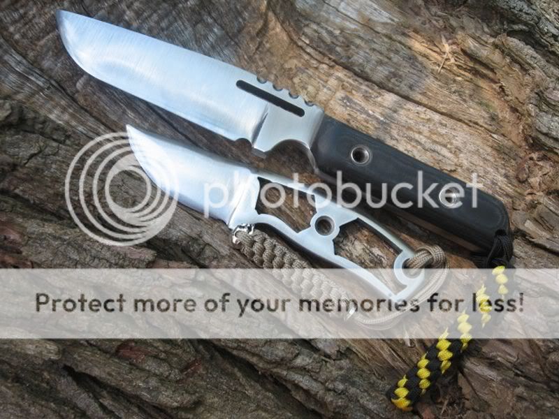 [Linked Image from i353.photobucket.com]