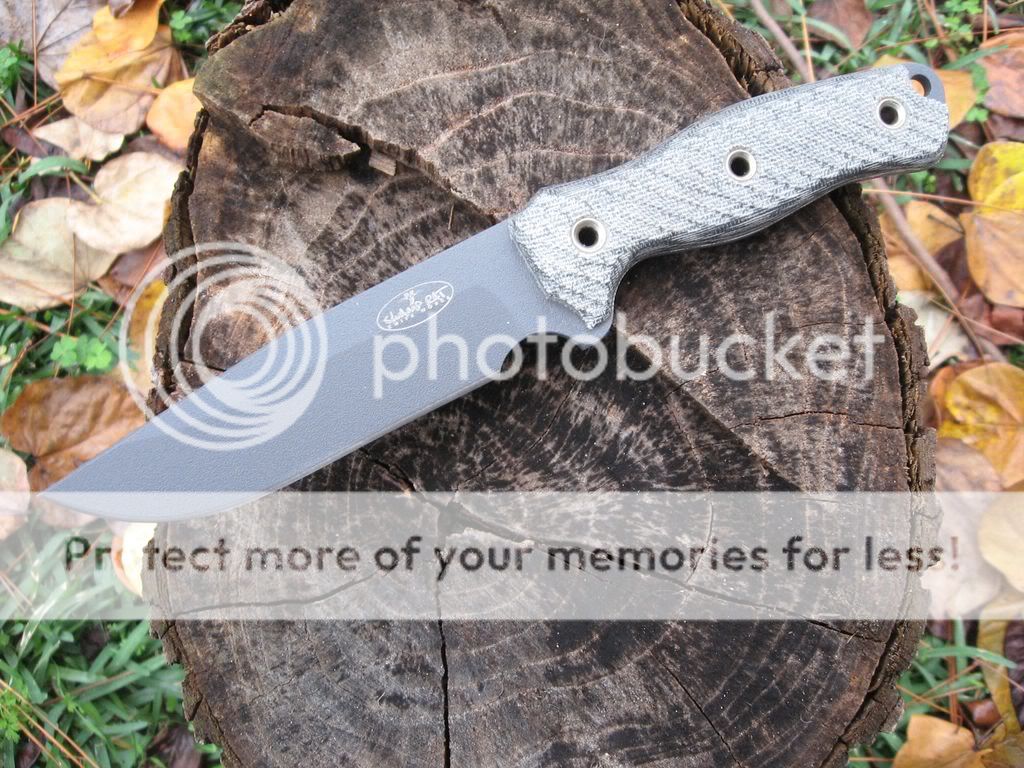 [Linked Image from i353.photobucket.com]