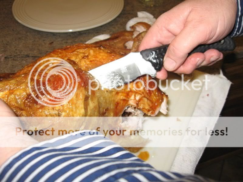 [Linked Image from i353.photobucket.com]