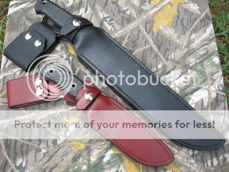 [Linked Image from i353.photobucket.com]