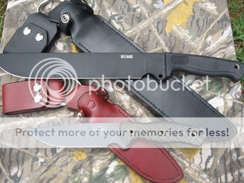[Linked Image from i353.photobucket.com]