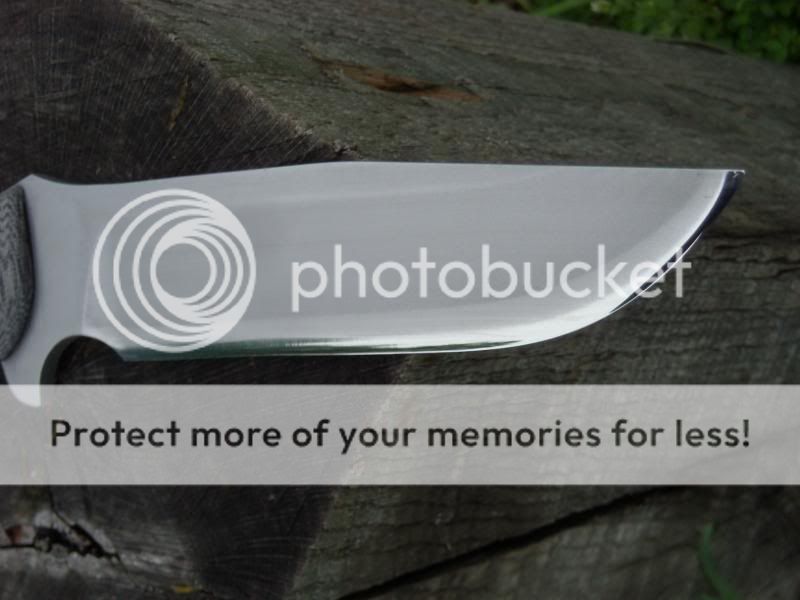 [Linked Image from i353.photobucket.com]