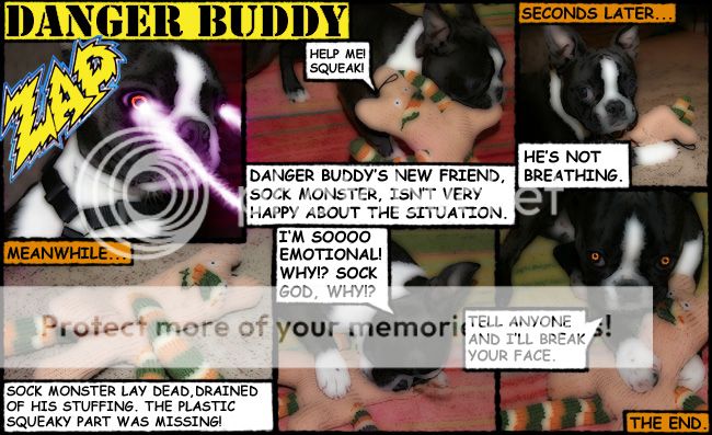 Danger Buddy #1