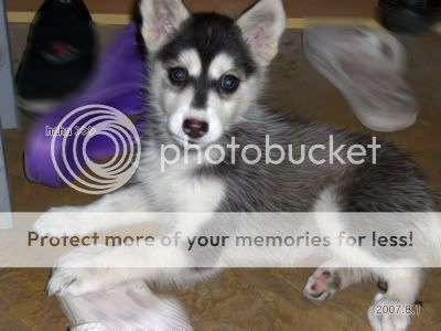 Photobucket