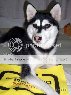 Photobucket