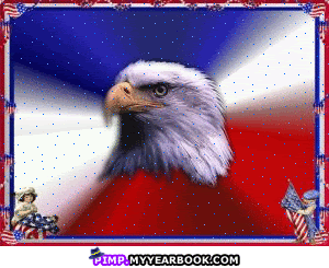 eagle Pictures, Images and Photos